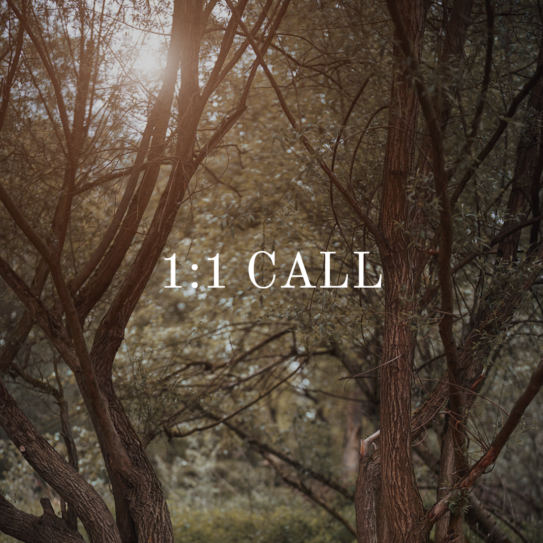 1:1 Call